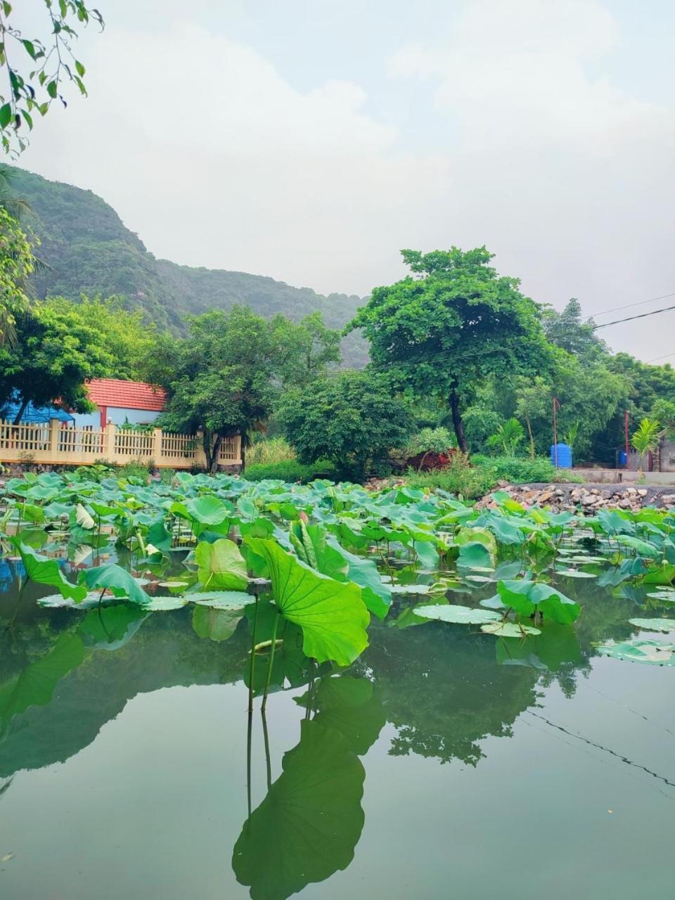 Trang An Natural Mountainside Homestay Ninh Binh Exterior photo
