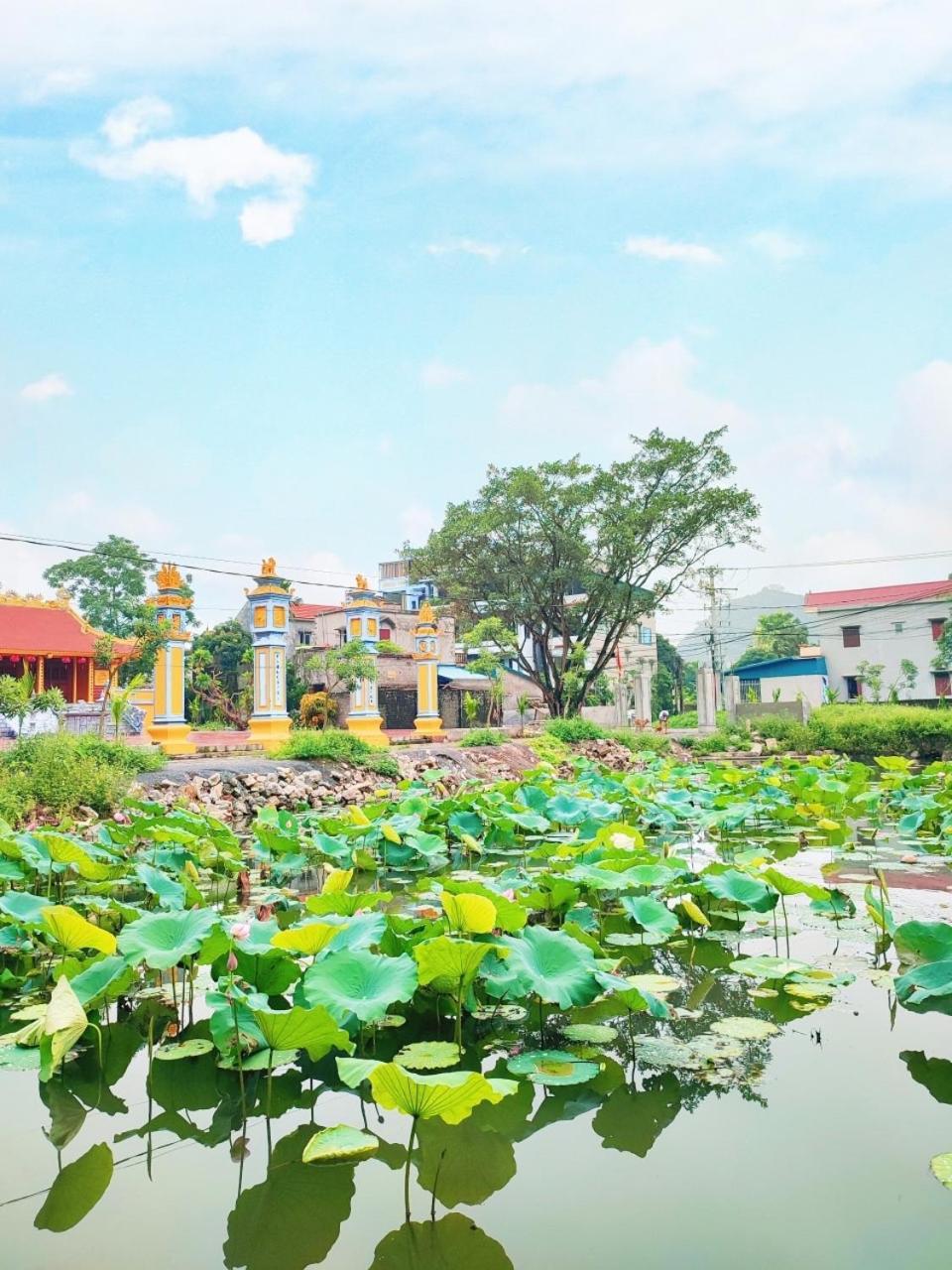 Trang An Natural Mountainside Homestay Ninh Binh Exterior photo