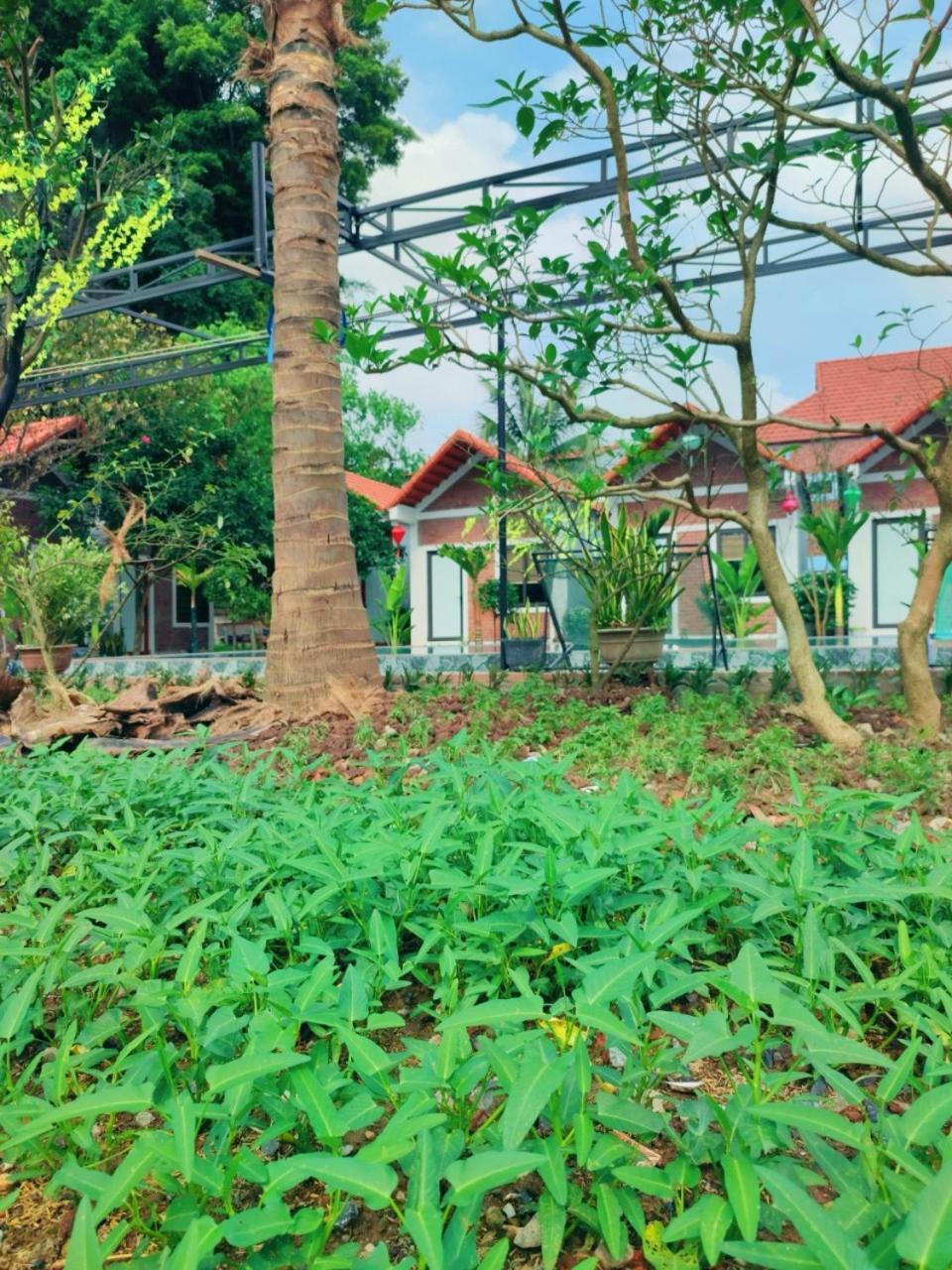 Trang An Natural Mountainside Homestay Ninh Binh Exterior photo