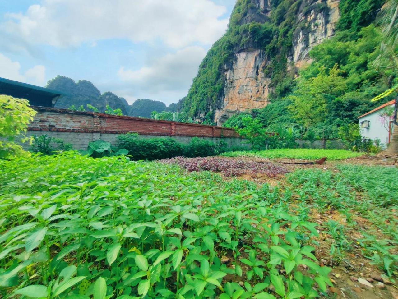 Trang An Natural Mountainside Homestay Ninh Binh Exterior photo